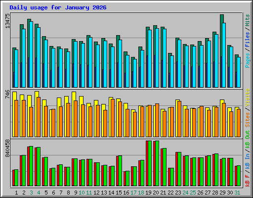 Daily usage for January 2026