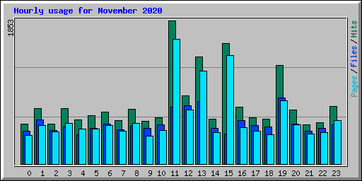 Hourly usage for November 2020