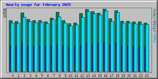 Hourly usage for February 2025