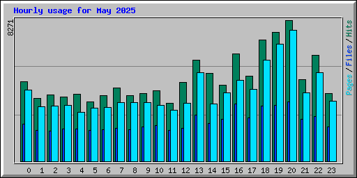 Hourly usage for May 2025