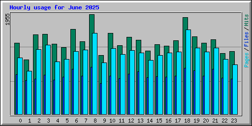 Hourly usage for June 2025
