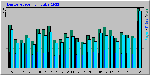 Hourly usage for July 2025