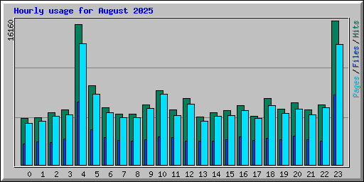 Hourly usage for August 2025
