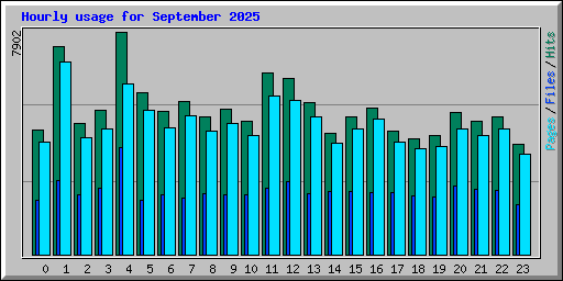 Hourly usage for September 2025