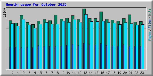 Hourly usage for October 2025