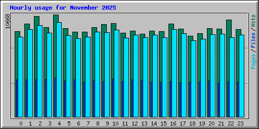 Hourly usage for November 2025