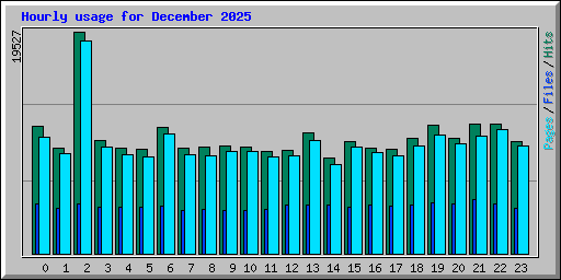 Hourly usage for December 2025