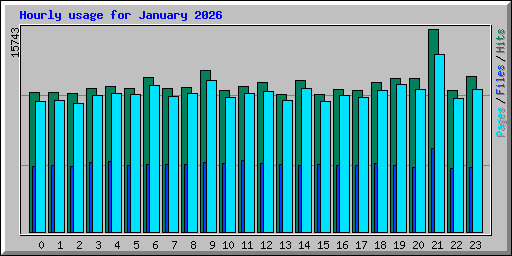 Hourly usage for January 2026