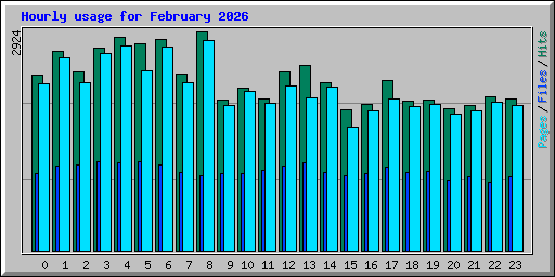 Hourly usage for February 2026