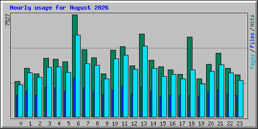 Hourly usage for August 2026